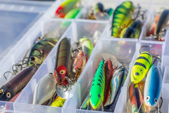 fishing lures