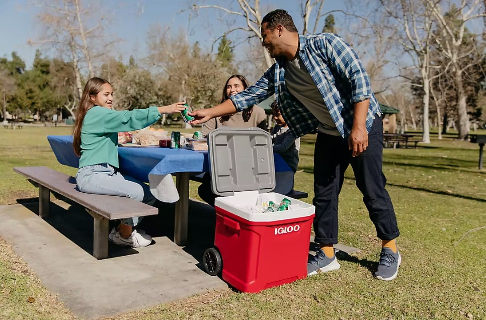 Igloo Latitude - 60qt Roller Cooler