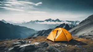 best camping gear