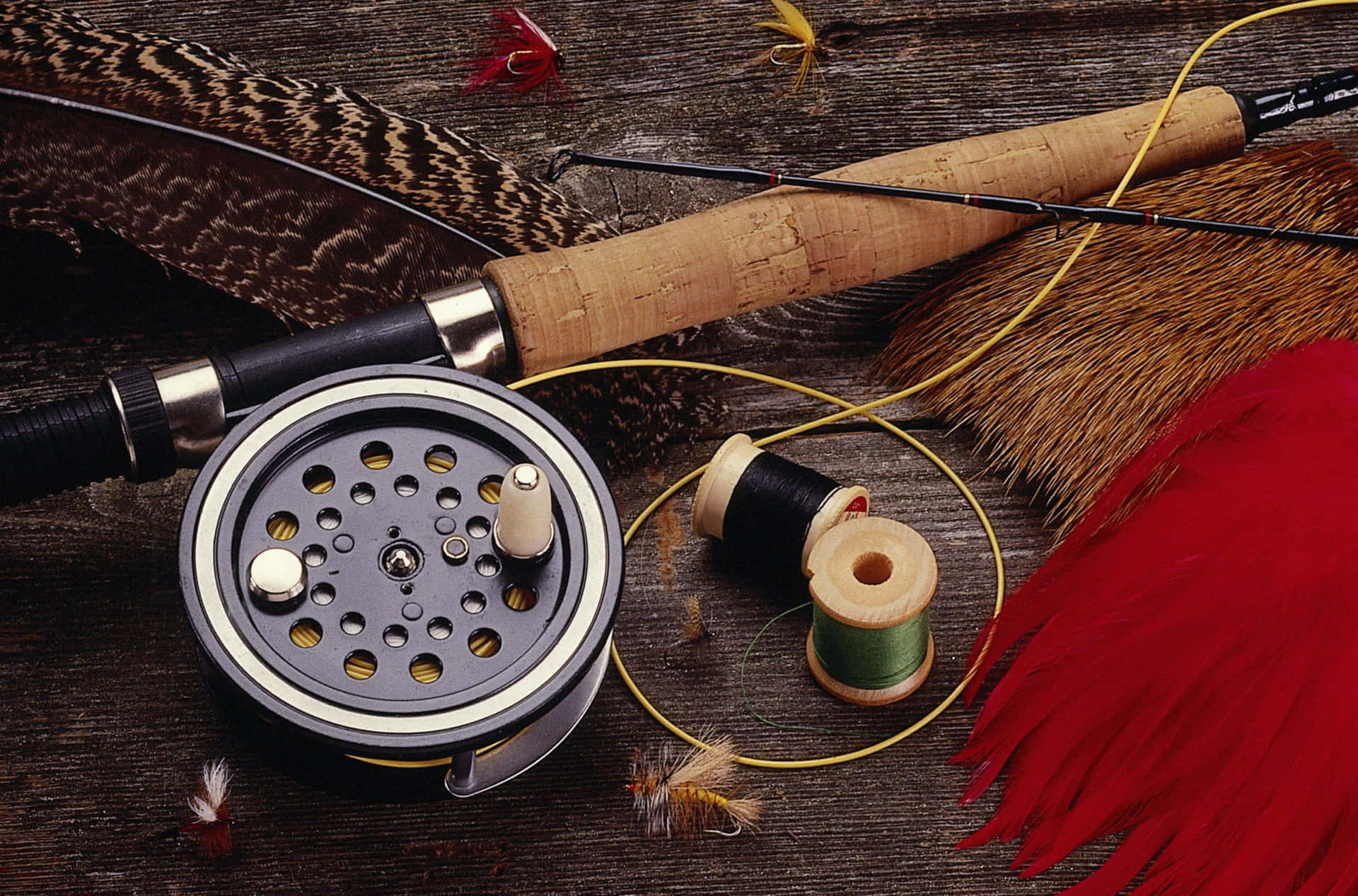 Best Fly Fishing Rods on Amazon