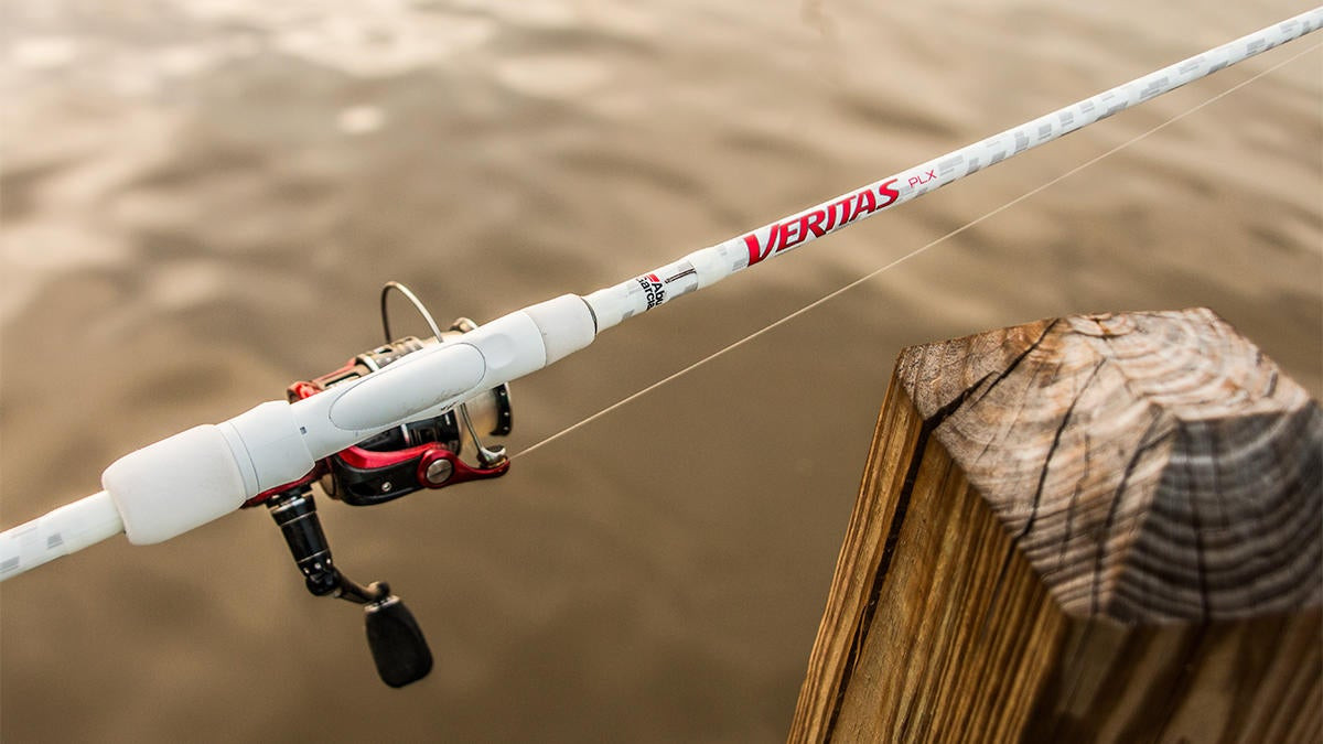 Abu Garcia - Veritas Casting Fishing Rod