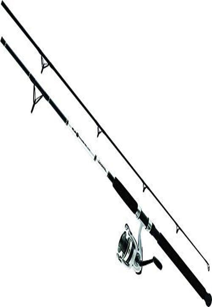 Daiwa D-Wave saltwater Spinning Combo