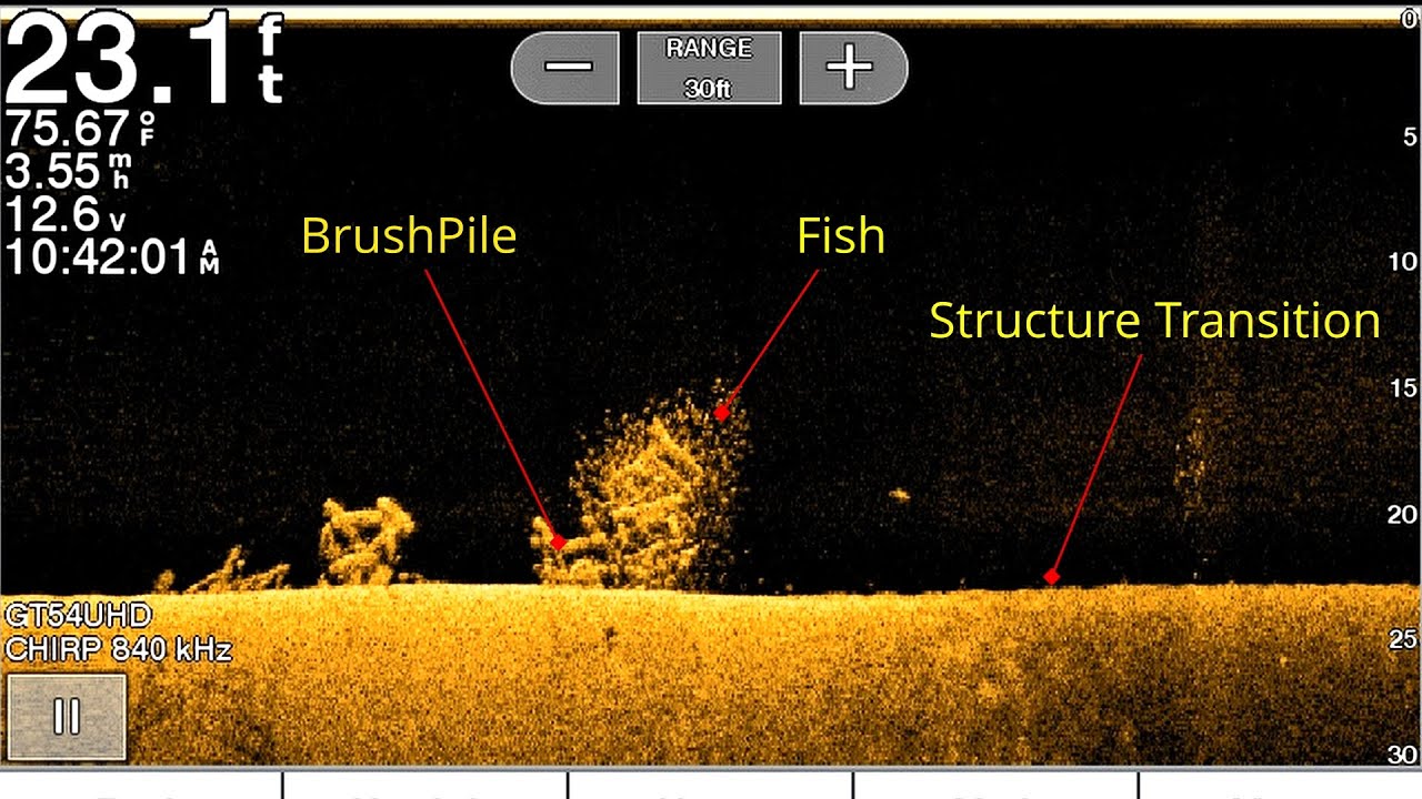 Down imaging sonar technology