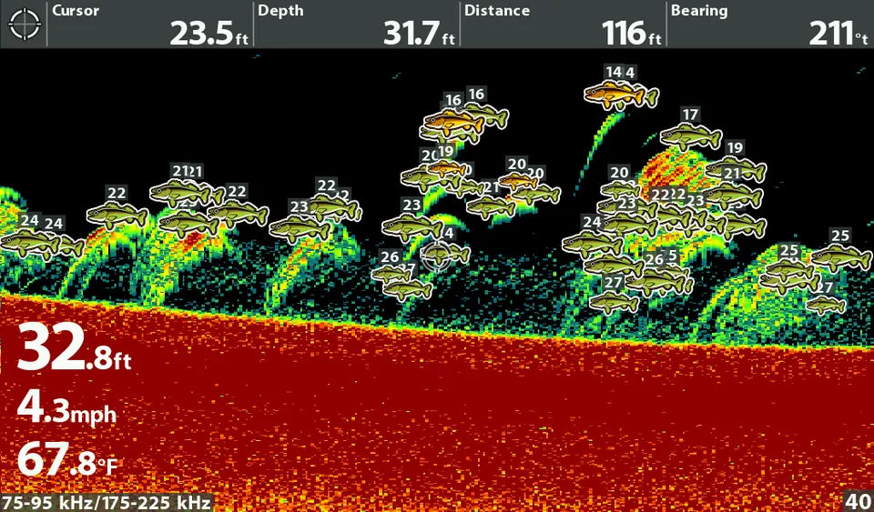 How to read fish finder readings