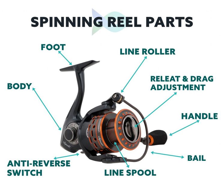 Spinning reel parts