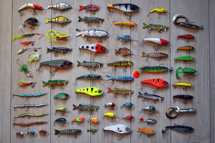 Different types of fishing baits