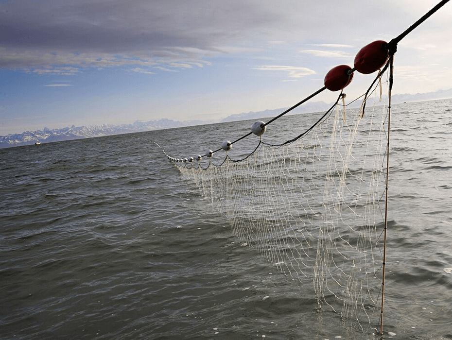 Drift Nets