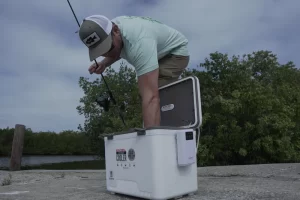 Live Bait Aerator