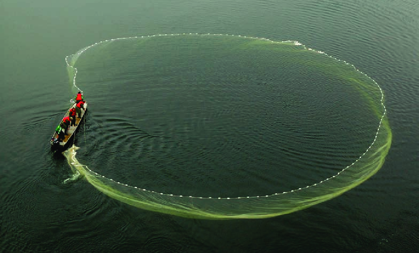 Purse Seine Nets